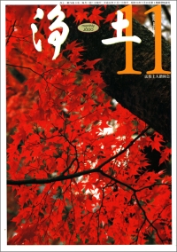 11�����\��