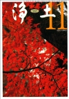 11����